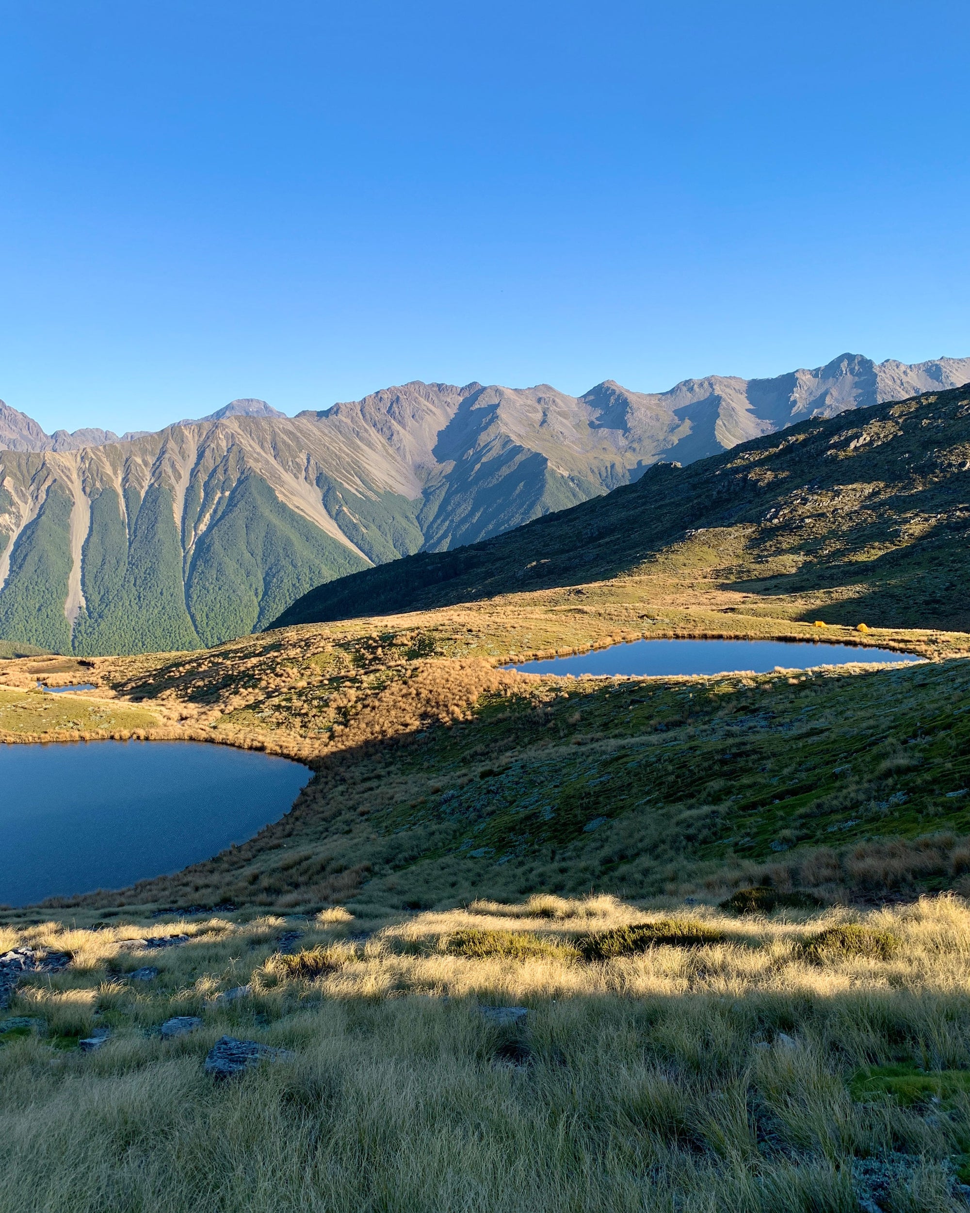 Watson Creek Route - Mole Tops - Jameson Ridge Track