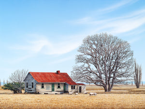 Farmhouse Napier Hastings Highway 150