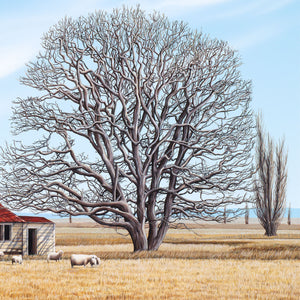 Farmhouse Napier Hastings Highway 150