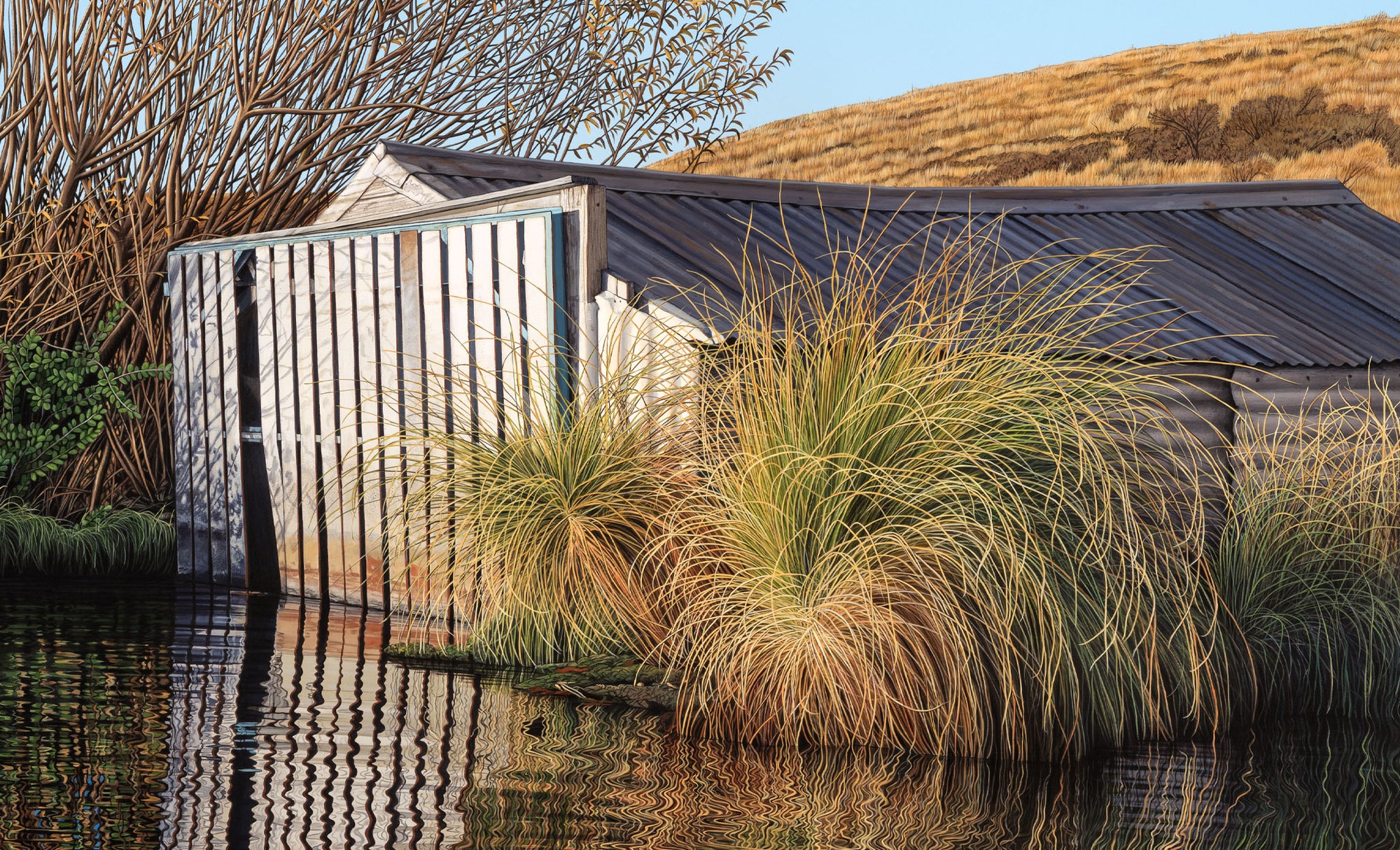 Endless Evening at Lake Alexandrina