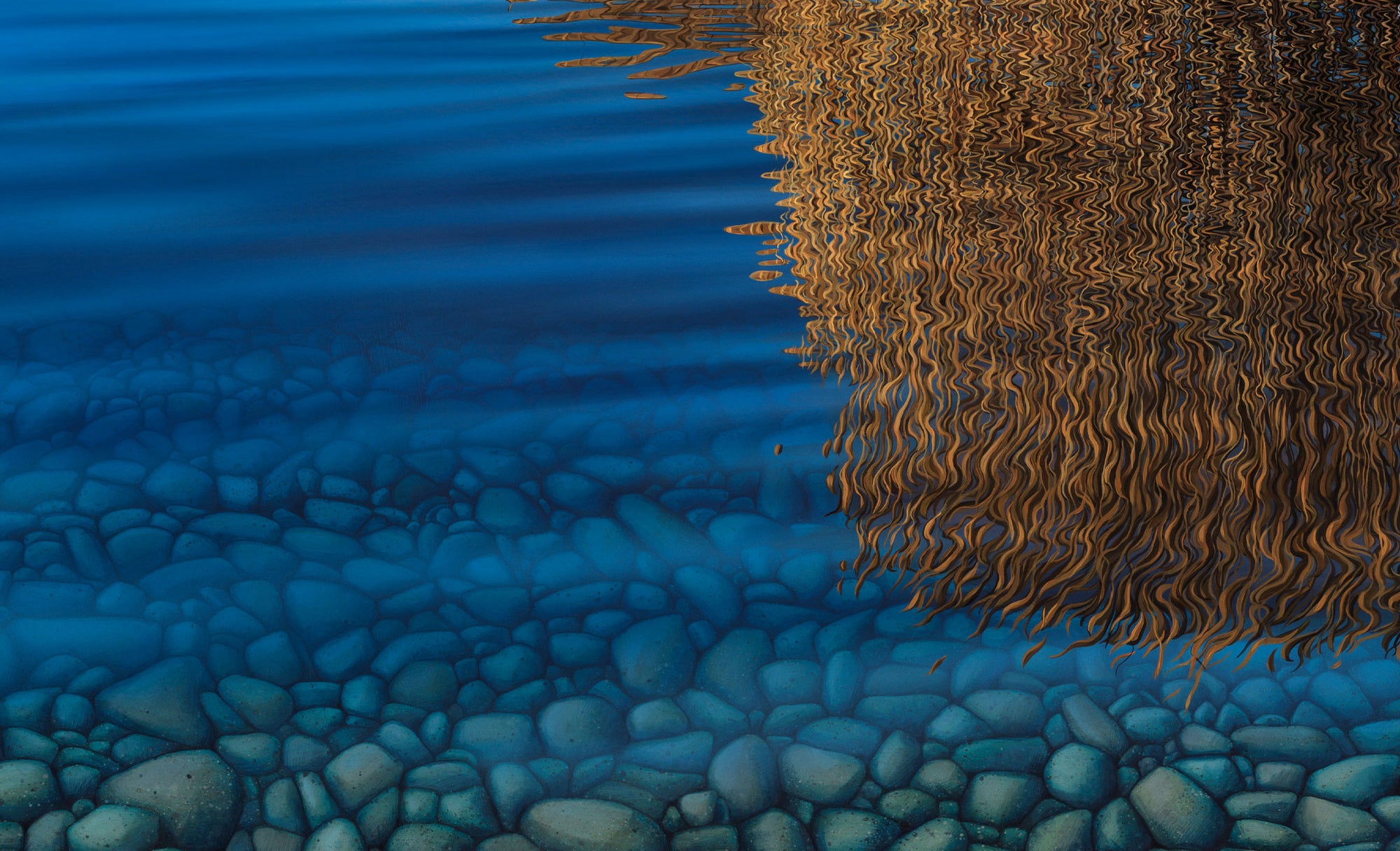 Endless Evening at Lake Alexandrina