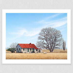 Farmhouse Napier Hastings Highway 150