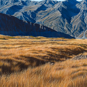 Ball Hut Alone, Tasman Glacier 150