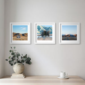 Set of 3 - Petite Prints - Selected New Zealand Trios - White Frame